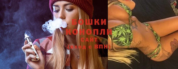 бошки Алексин