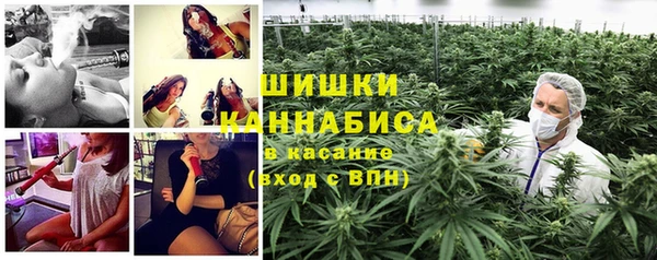 бошки Алексин