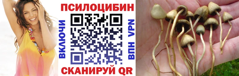 Псилоцибиновые грибы GOLDEN TEACHER  Грязовец 